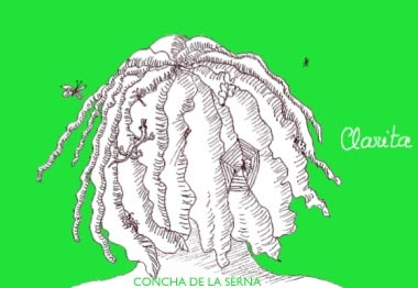 Ilustración 3 – clarita cabeza verde