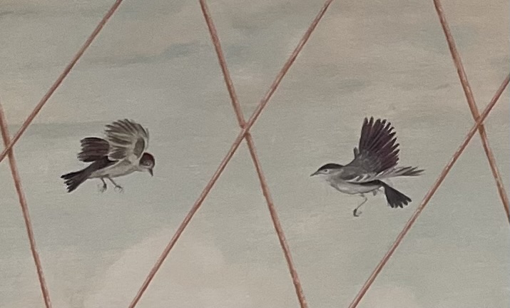 pajaros pared mural 6