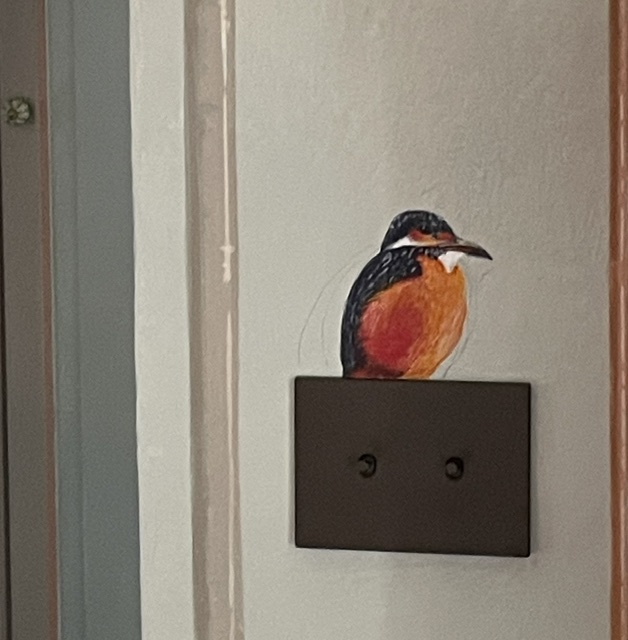 pajaros pared mural 4