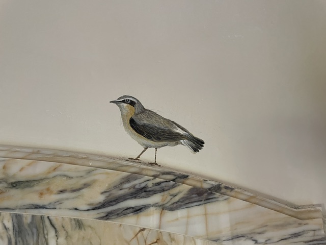 pajaros pared mural 3