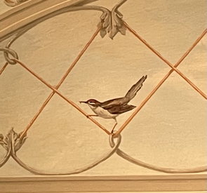 pajaro pared mural
